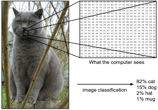 Image classification example